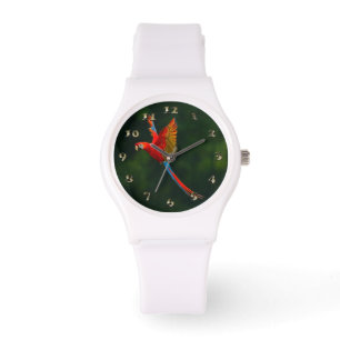 Parrot in Flight Watch