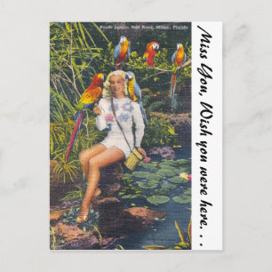 Parrot Jungle, Miami, Florida Postcard