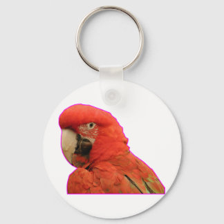 Parrot Keychain
