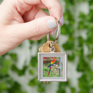 Parrot Keychain