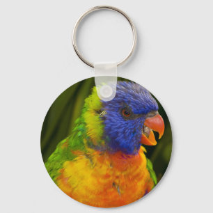 parrot keychain