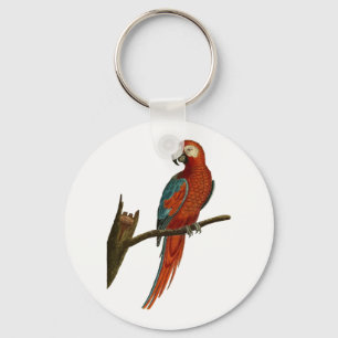 Parrot Keychain