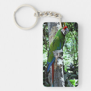 Parrot Keychain