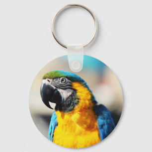 parrot keychain