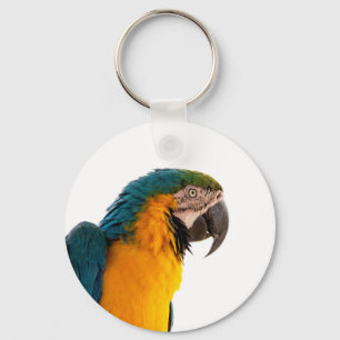 Parrot  keychain