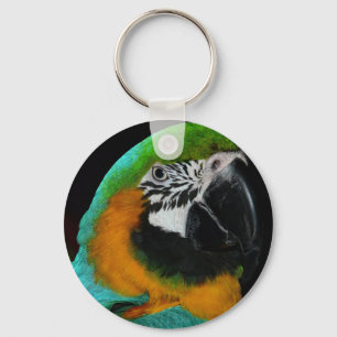 Parrot Keychain