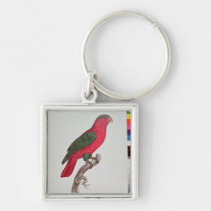 Parrot: Lory or Collared Keychain