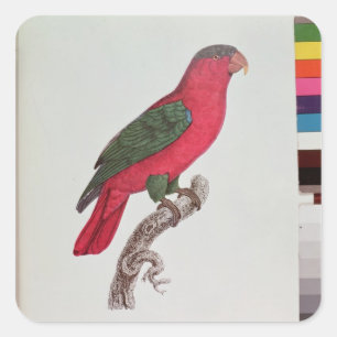 Parrot: Lory or Collared Square Sticker