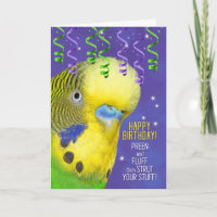 Parrot Lover Birthday with Budgie Fun Bird Lover