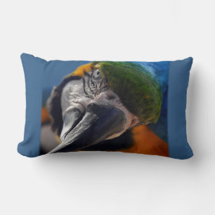 Parrot Macaw Bird Decorative Throw Pillow