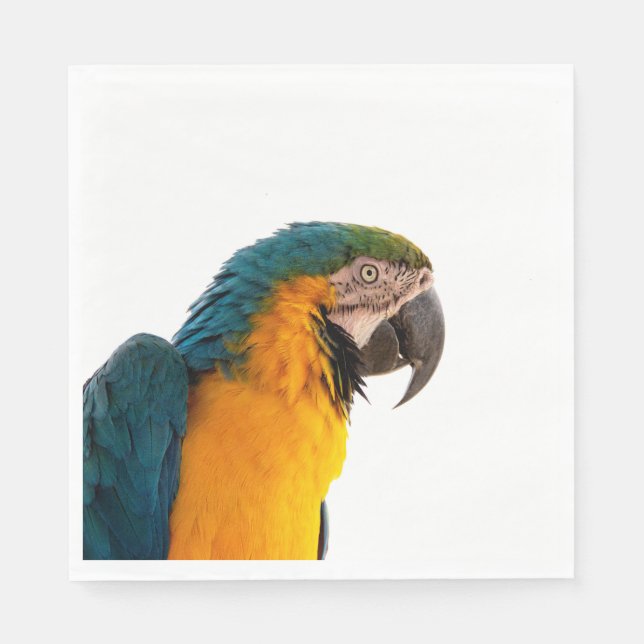 Parrot macaw  napkin (Front)