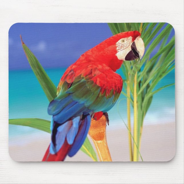 Parrot Mouse Pad (Front)
