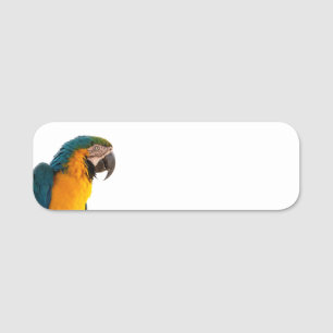Parrot name tag