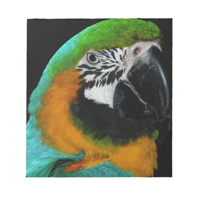 Parrot Notepad (Front)