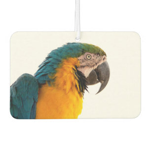 Parrot Notes Air Freshener