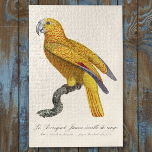 Parrot of Paradise of Cuba, Psittacus Paradisi Jigsaw Puzzle