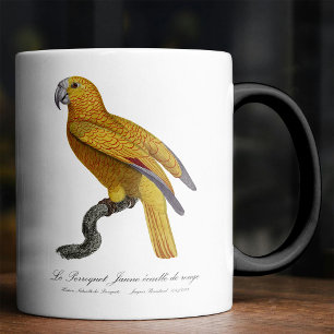 Parrot of Paradise of Cuba, Psittacus Paradisi Magic Mug