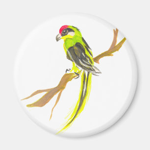 Parrot on a branch. Watercolor painting. Magnet