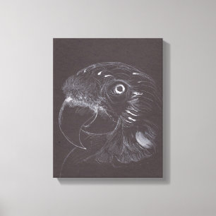 Parrot - Original Drawing - Canvas Print