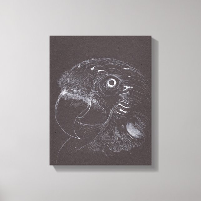Parrot - Original Drawing - Canvas Print (Front)