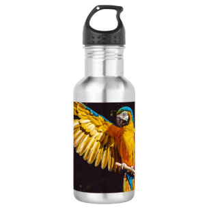 Parrot Out Stretched Wing 532 Ml Water Bottle