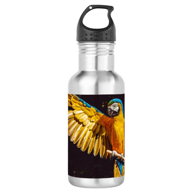 Parrot Out Stretched Wing 532 Ml Water Bottle (Front)
