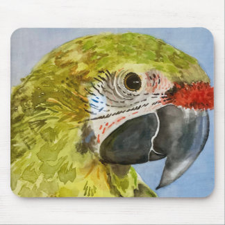 Parrot pad mouse pad