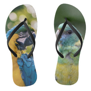 Parrot Patterned Flip Flops