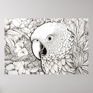 Parrot Peaceful Nature Prairie Sketch Drawing Art Poster