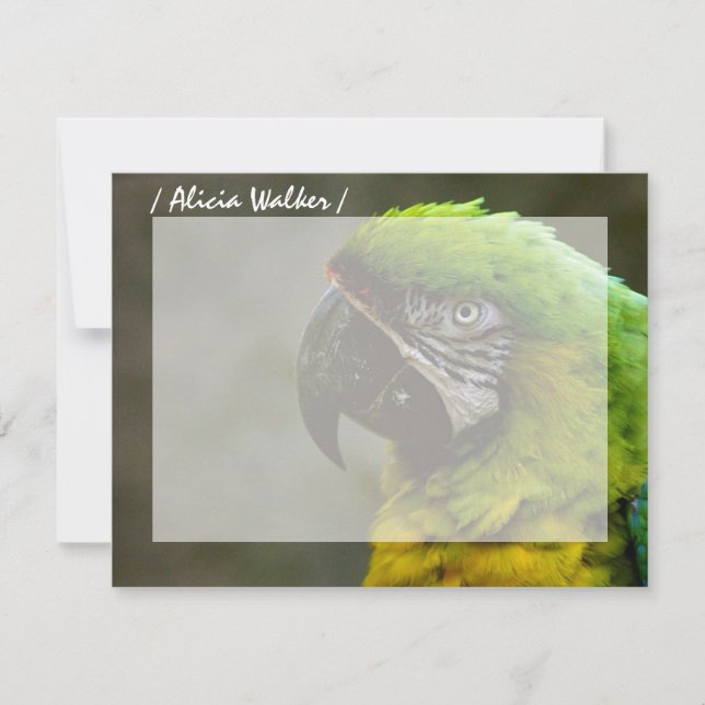 Parrot Photo Personalized Flat Note Cards (Front)
