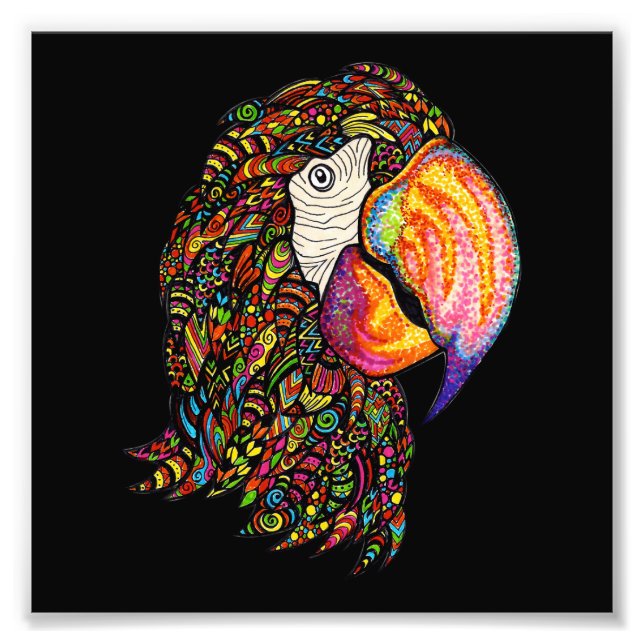 Parrot Photo Print (Front)