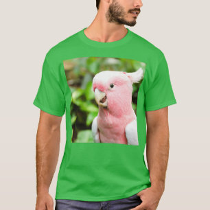 parrot photo with high resolution quality 3 T-Shirt