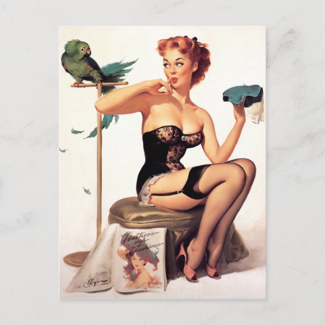 Parrot Pin Up Postcard (Front)