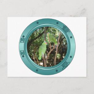 Parrot Porthole Postcard