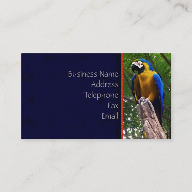 Parrot Pose ~ Business Card (Front)
