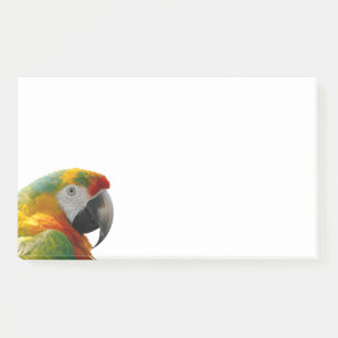 PARROT POST-IT NOTES
