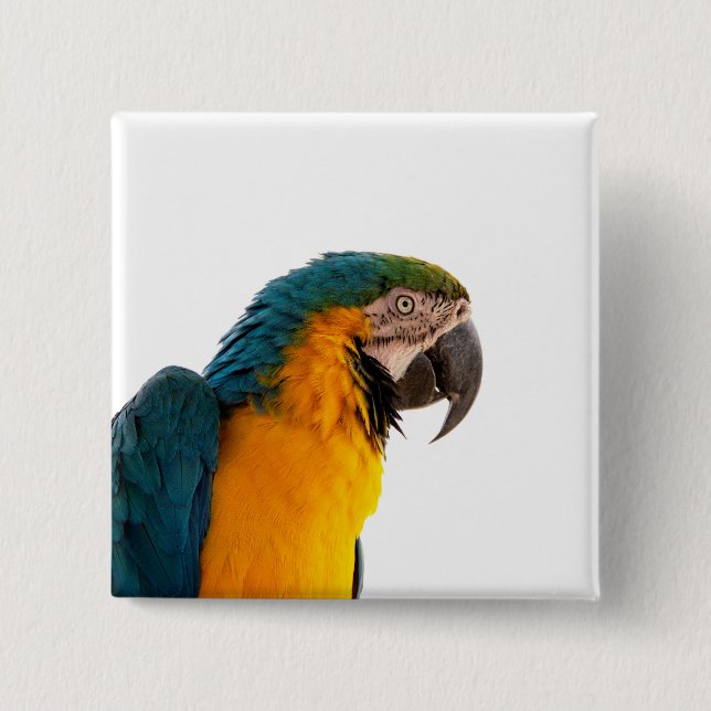 Parrot Post-it Notes 2 Inch Square Button (Front)