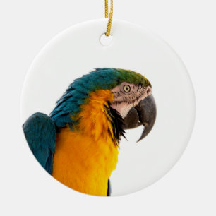 Parrot Post-it Notes Ceramic Ornament
