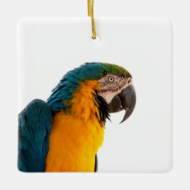 Parrot Post-it Notes Ceramic Ornament (Front)