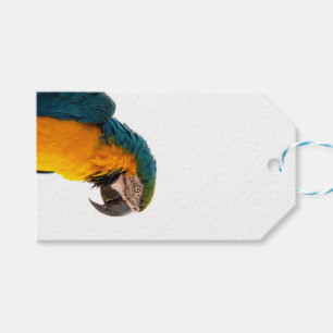 Parrot Post-it Notes Gift Tags