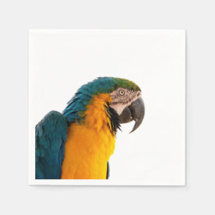 Parrot Post-it Notes Napkin