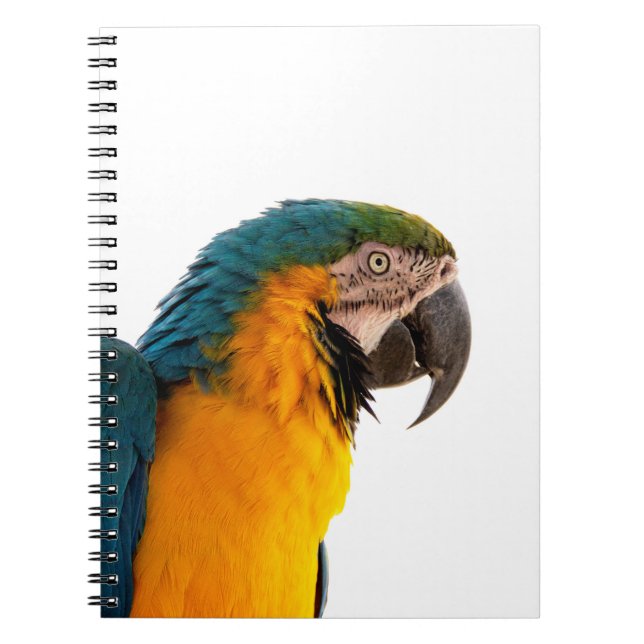 Parrot Post-it Notes Notebook (Front)