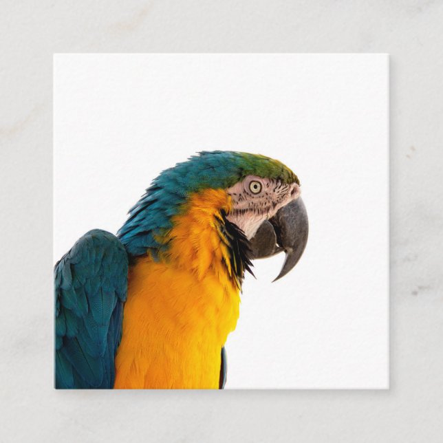 Parrot Post-it Notes Square Business Card (Front)