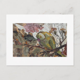parrot postcard