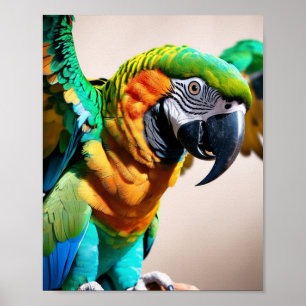 Parrot  poster