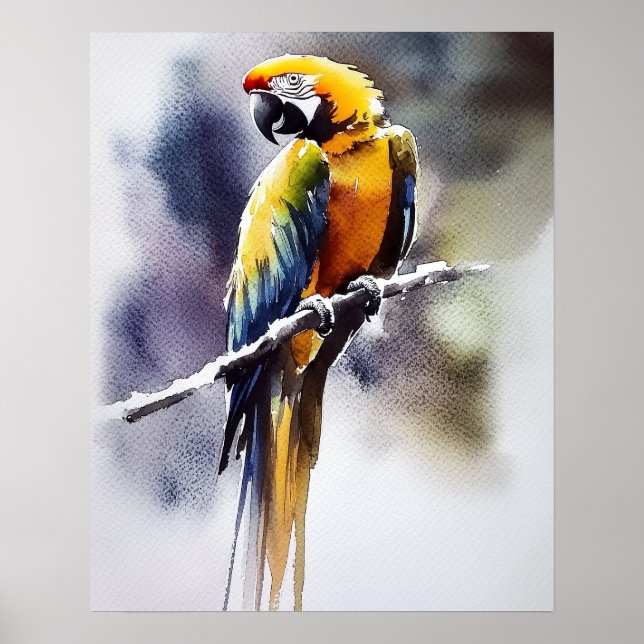 parrot poster (Front)