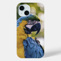 Parrot Profile Portrait Photograph
