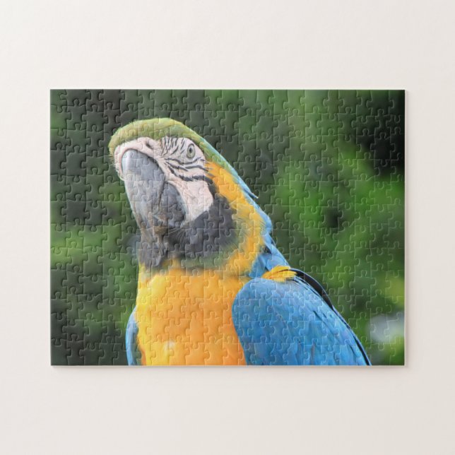 Parrot Puzzle (Horizontal)