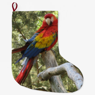 Parrot Red Macaw Bird Colourful Large Christmas Stocking