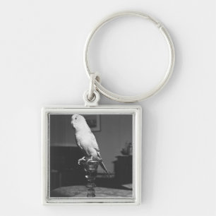 Parrot sitting on candlestick B&W Keychain